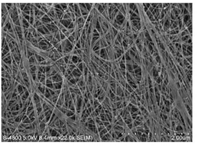 61727f5f06c55.png 61727f5f06c55.png